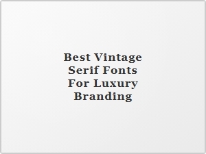 Elevate Your Brand with Timeless Vintage Serif Fonts
